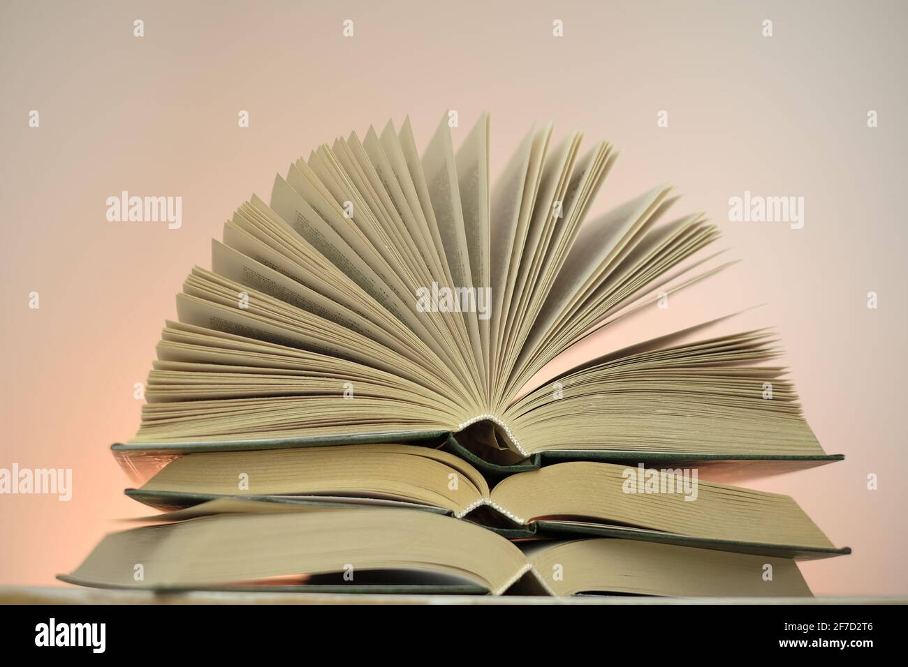 Lettura libri e letteratura.Open libri stack set su uno sfondo rosa. Studio e concetto di istruzione. Primo piano del libro pages.Learning e conoscenza Foto Stock
