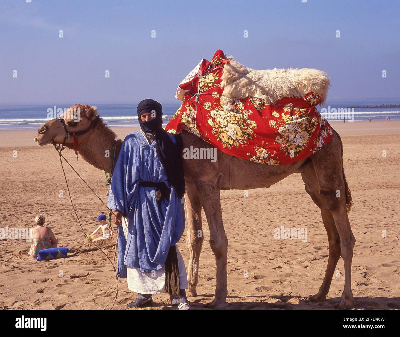 Autista di cammello sulla spiaggia di Agadir, Agadir, regione di Souss-massa-Draâ, Marocco Foto Stock