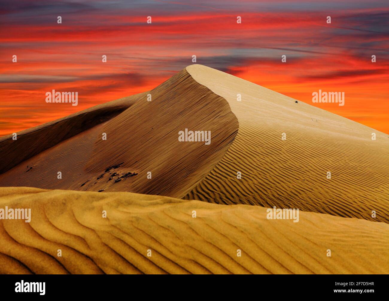 Cerro Blanco sabbia duna deserto tramonto serale colorato con belle nuvole, una delle dune più alte del mondo situato vicino Nasca o città di Nazca in Foto Stock