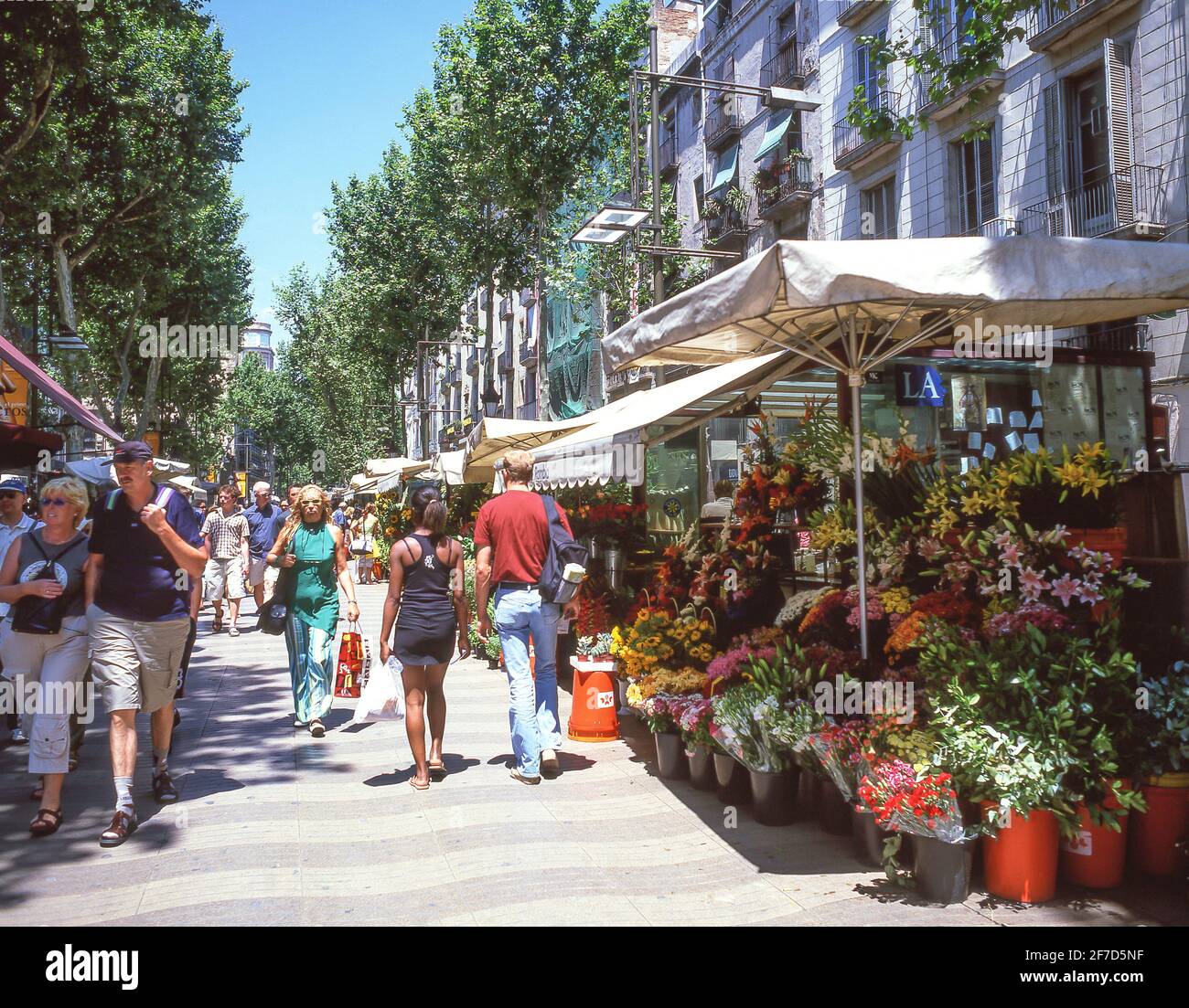 Bancarelle di fiori, Las Ramblas a Barri Gòtic (quartiere Gotico), Barcellona, Provincia di Barcellona, Catalogna, Spagna Foto Stock