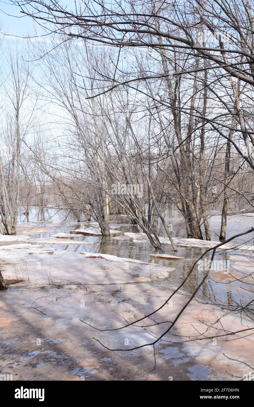 Parco ecologico Anse au Port durante un'alluvione. Situato vicino a Trois-Rivieres, Quebec Foto Stock