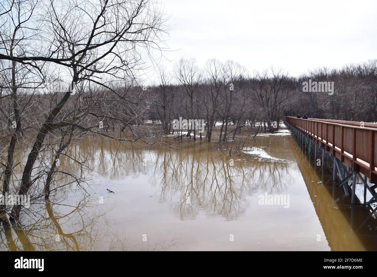 Parco ecologico Anse au Port durante un'alluvione. Situato vicino a Trois-Rivieres, Quebec Foto Stock