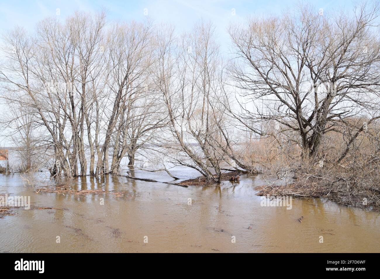 Parco ecologico Anse au Port durante un'alluvione. Situato vicino a Trois-Rivieres, Quebec Foto Stock