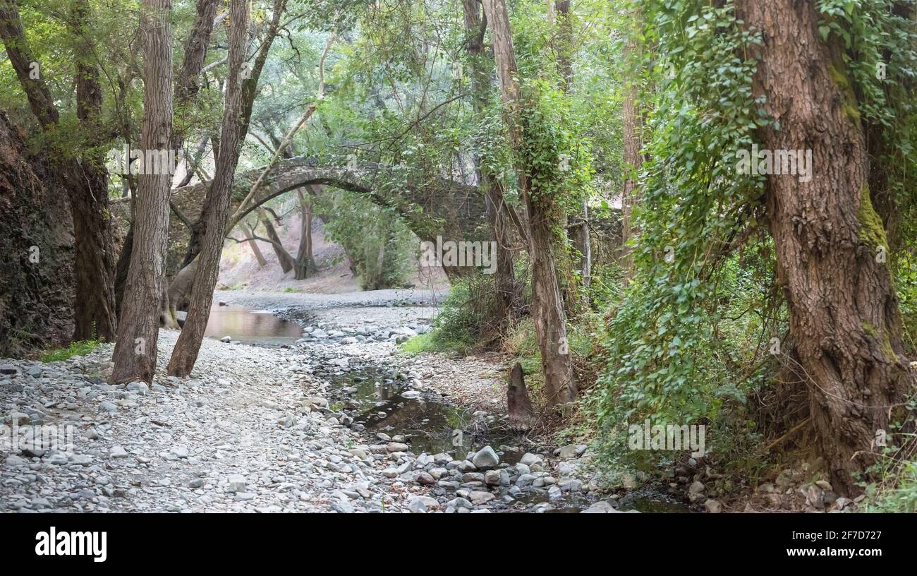 Ponte di Tzelefos (Kelefos) nella foresta di Paphos, il ponte medievale più grande e famoso di Cipro Foto Stock