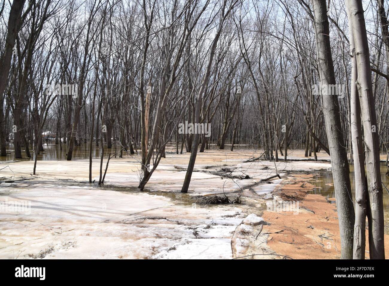 Parco ecologico Anse au Port durante un'alluvione. Situato vicino a Trois-Rivieres, Quebec Foto Stock