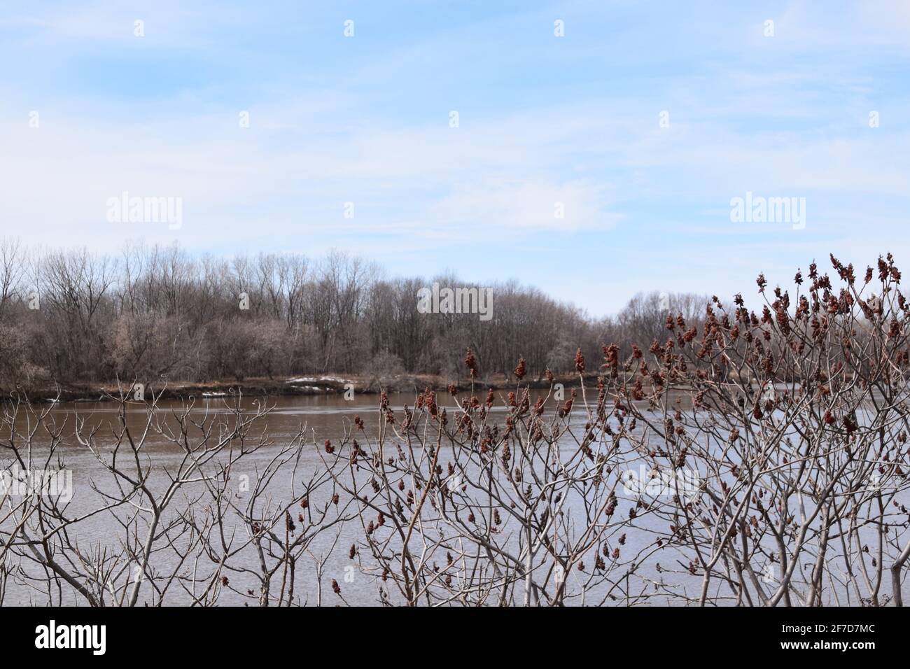 Parco ecologico Anse au Port durante un'alluvione. Situato vicino a Trois-Rivieres, Quebec Foto Stock