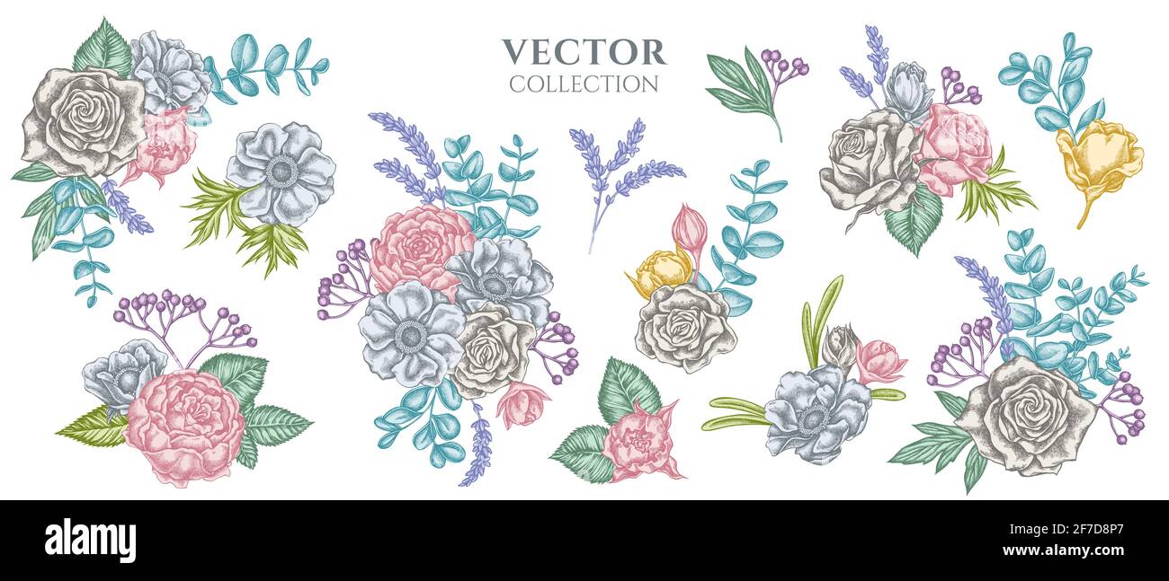 Bouquet di fiori di rose pastello, anemone, eucalipto, lavanda, pony, viburnum Illustrazione Vettoriale