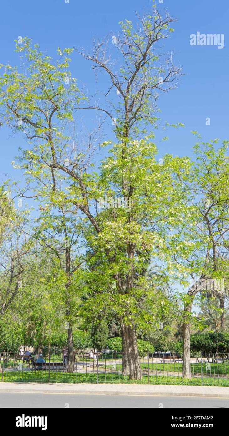 Vecchia prigione modello della città di Valencia sul Rive del vecchio letto del fiume Turia Foto Stock