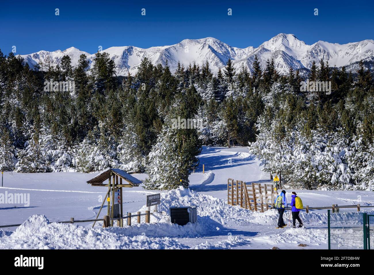 Carlit e Pyrénées Orientales cime innevate in inverno (Les Angles, Pyrénées Orientales, Francia) ESP: Cumbres del Carlit y el Pirineo Oriental nevados Foto Stock