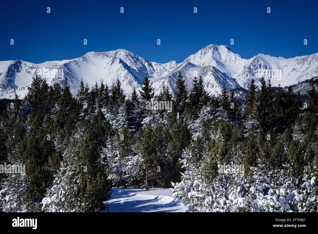 Carlit e Pyrénées Orientales cime innevate in inverno (Les Angles, Pyrénées Orientales, Francia) ESP: Cumbres del Carlit y el Pirineo Oriental nevados Foto Stock