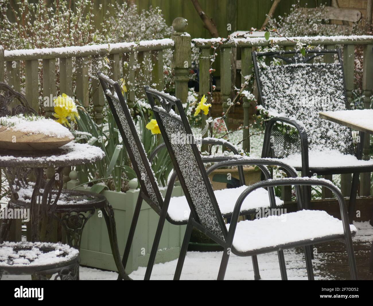 Misure di blocco: Incontrare la famiglia e gli amici per il caffè in giardino è ora consentito, ma la neve e la grandine hanno ritardato i piani per molti nel corso di Pasqua. Foto Stock