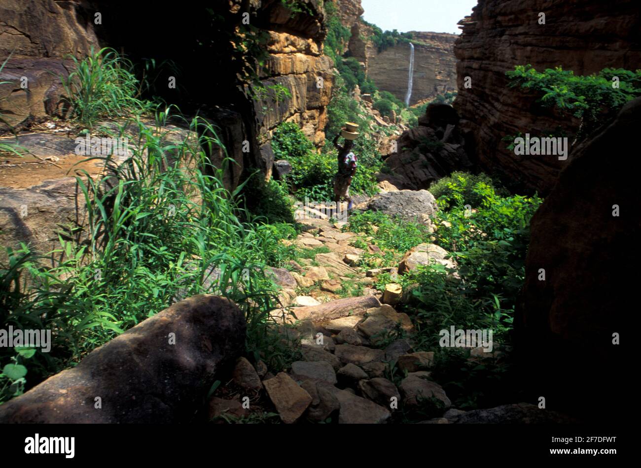 Donna con vasi in testa da Irelli, scarpata di Bandiagara, Paese di Dogon, Mali Foto Stock