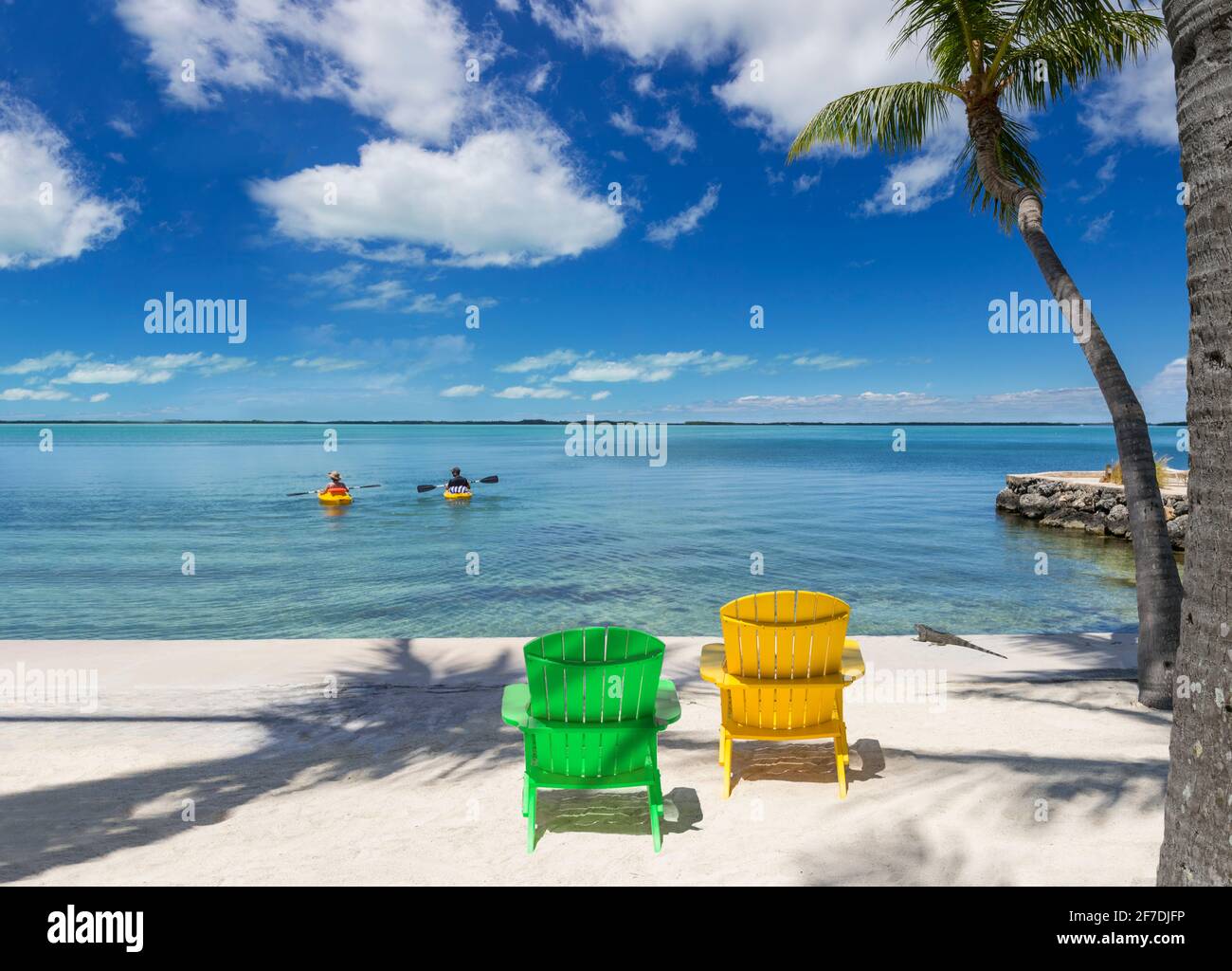 Una coppia sposata kayak dopo aver lasciato le loro sedie da spiaggia con iguana guardare, Key Largo, Florida USA Foto Stock