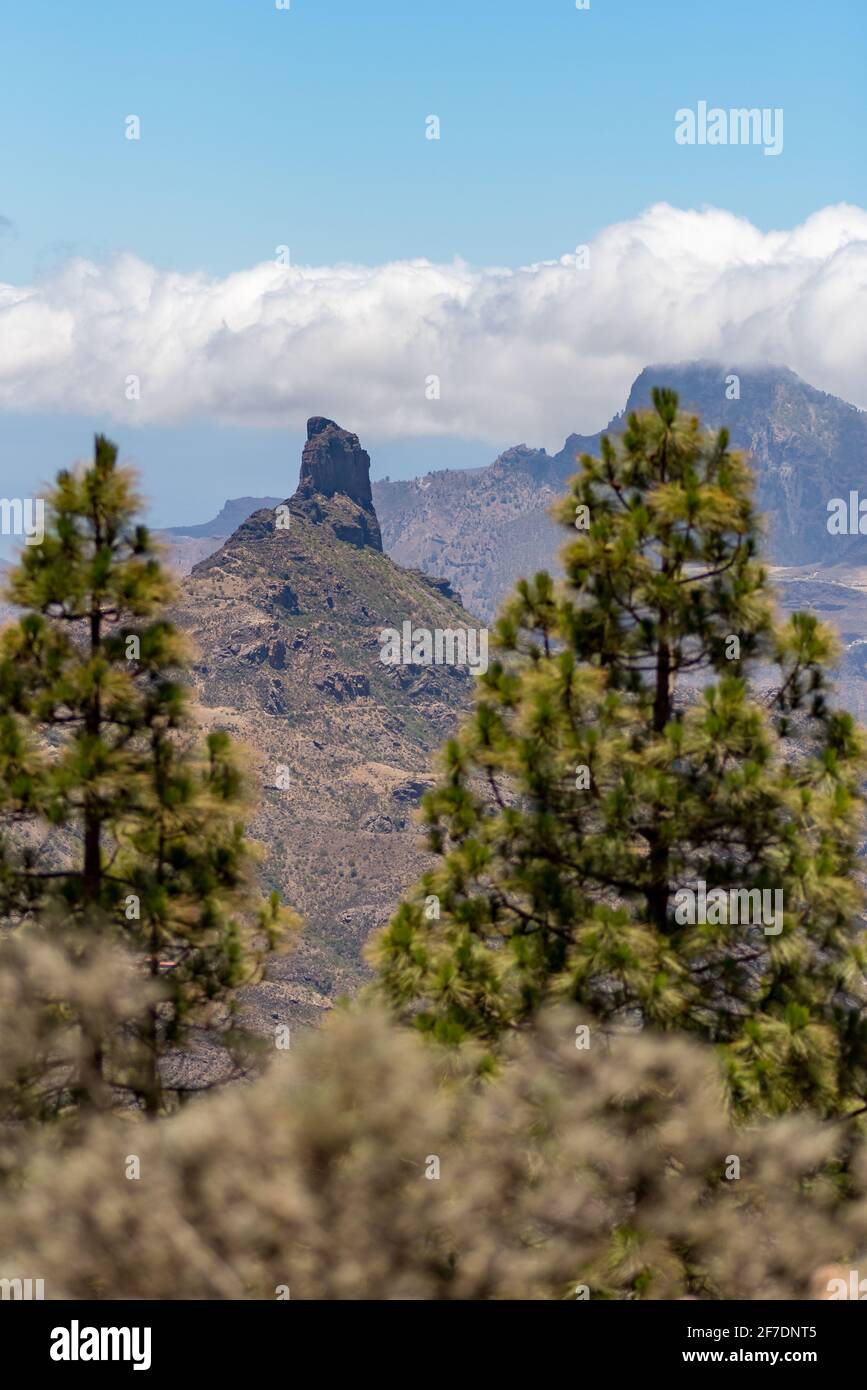 Vista attraverso i pini a destra e a sinistra della foto a Roque Bentayga nelle montagne di Gran Canaria. Foto Stock