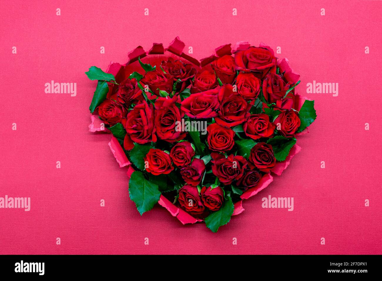 Decorazione cuore fatto di rose fresche, piatto, su sfondo rosa. Modello per San Valentino, Giornata internazionale della donna, Festa della mamma, compleanno, Foto Stock