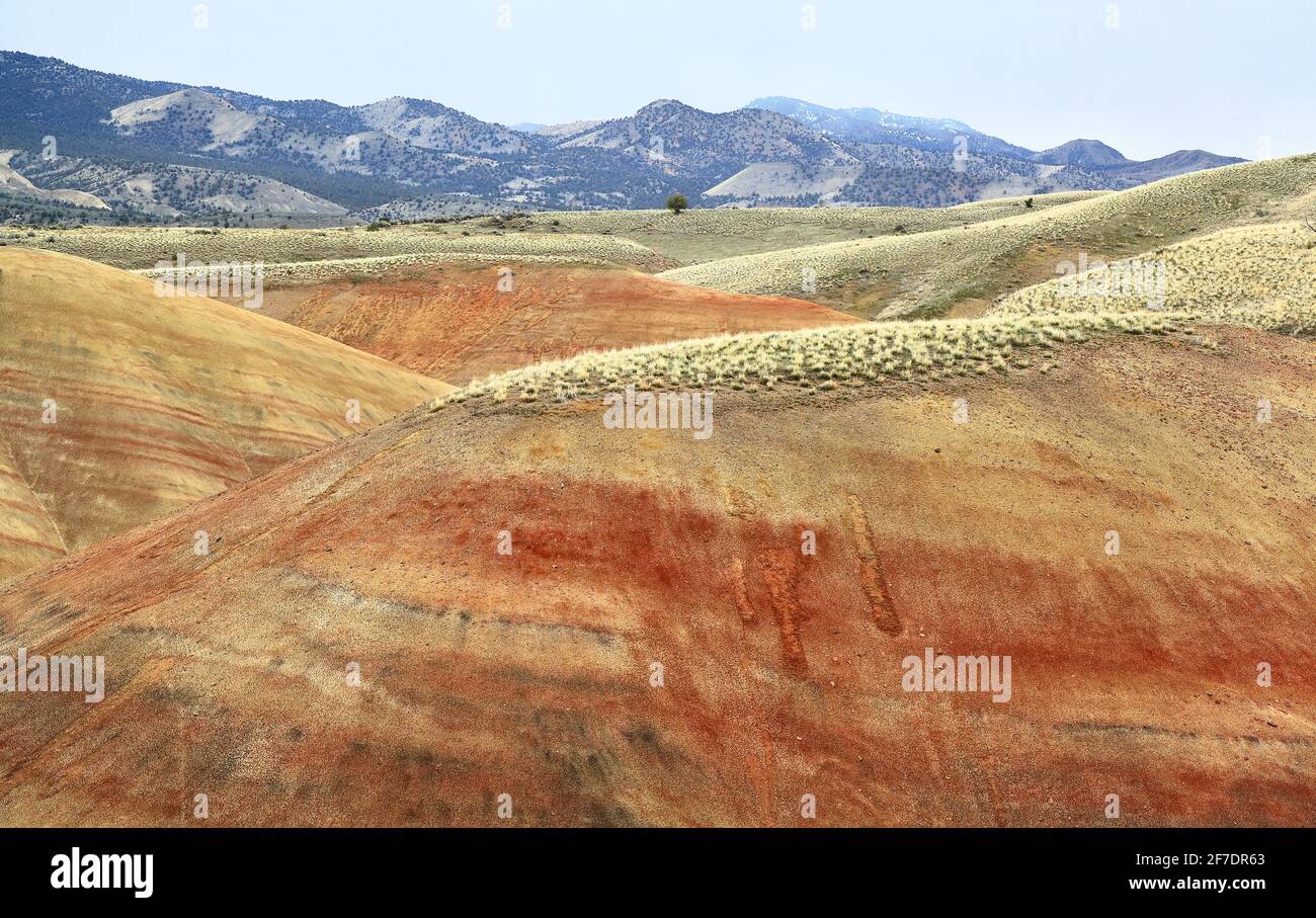 Titolo: Painted Hills, un punto di riferimento geologico naturale, una delle meraviglie naturali dello stato dell'Oregon, USA Foto Stock