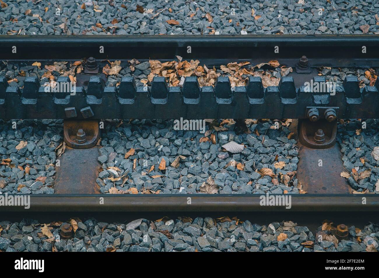 Dettaglio della ferrovia a cremagliera in svizzera. I treni corrono su pendii ripidi su queste rotaie dentate per guadagnare la trazione sopra ADH Foto Stock