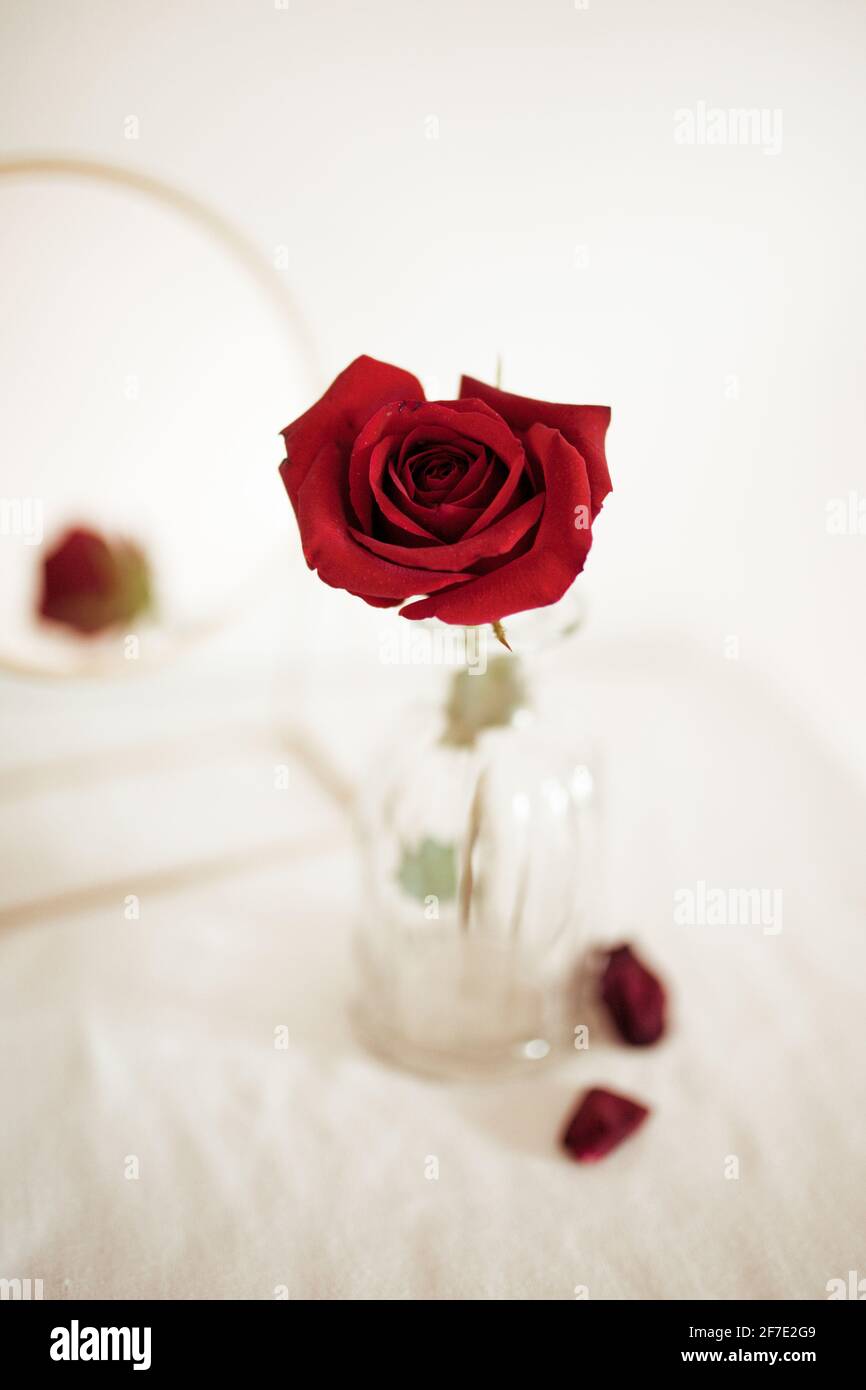 Vasetti di Rose rosse 