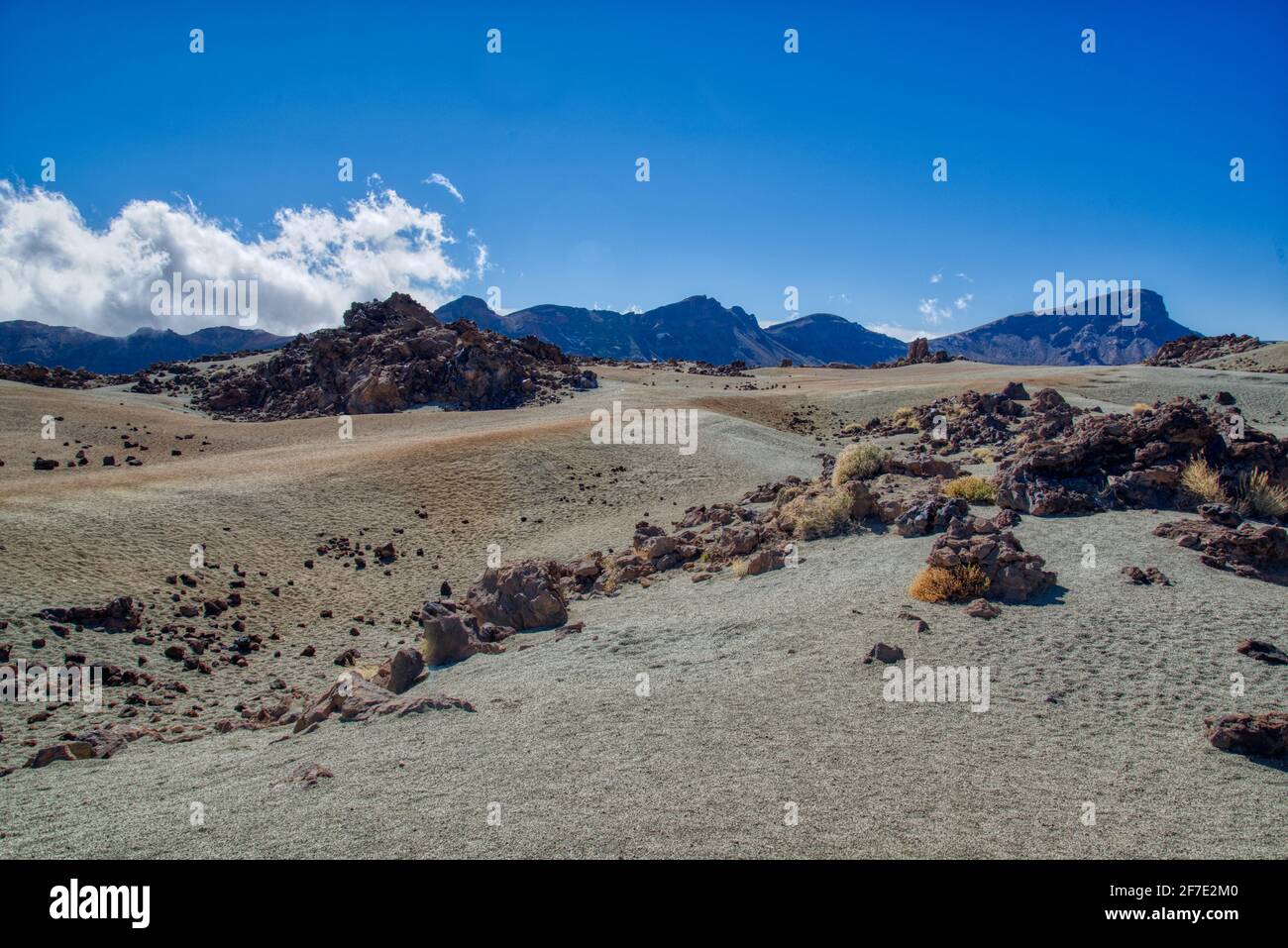 El Teide Park, Tenerife Foto Stock