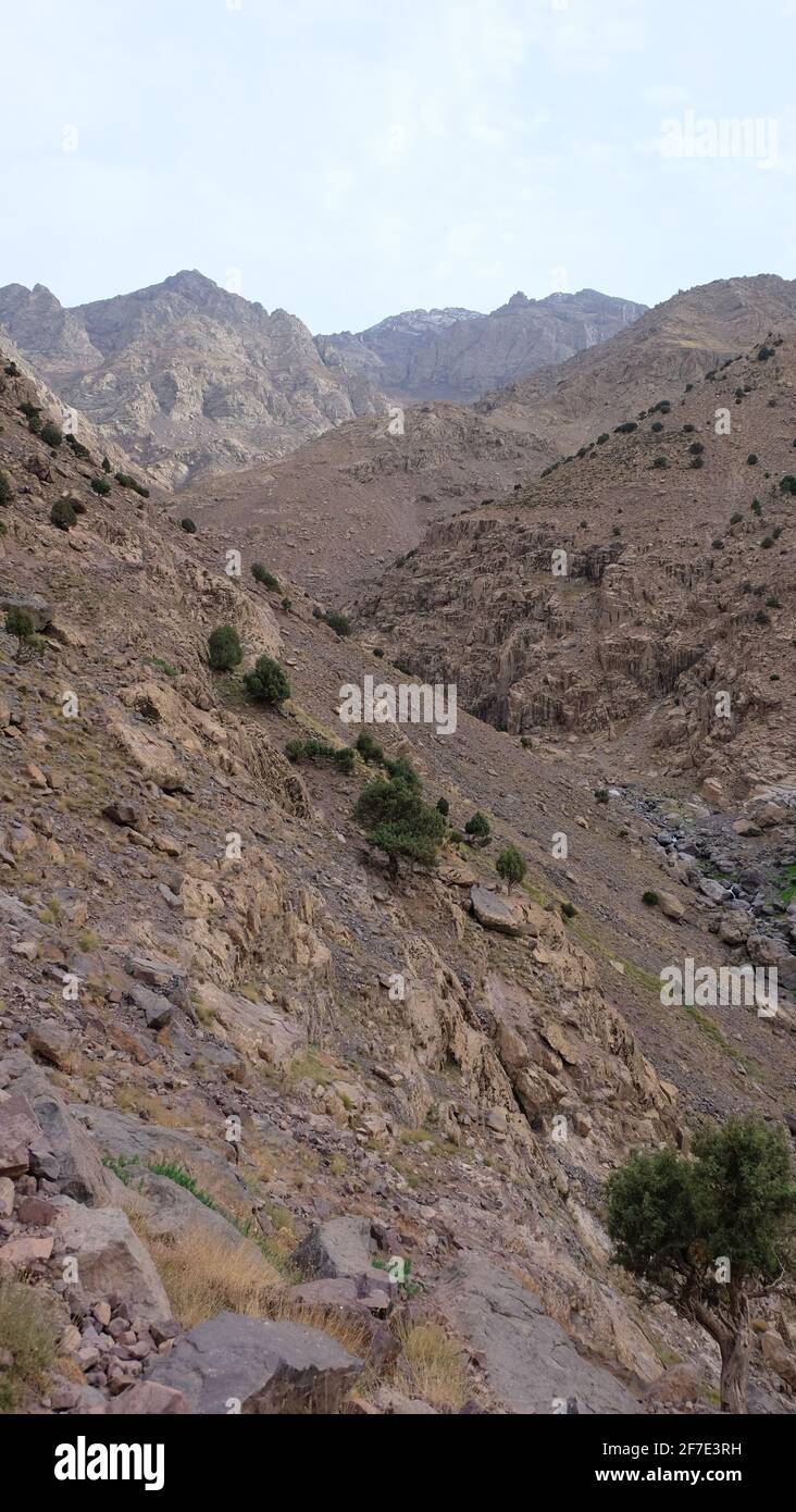 Il Parco Nazionale di Toubkal è un parco nazionale dell'Alto Catena montuosa dell'Atlante nel Marocco occidentale Foto Stock