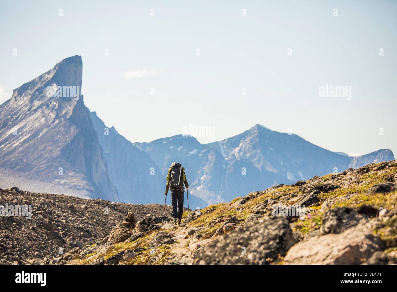 Lone escursionista sul sentiero sotto il Monte Thor, Baffin Island. Foto Stock