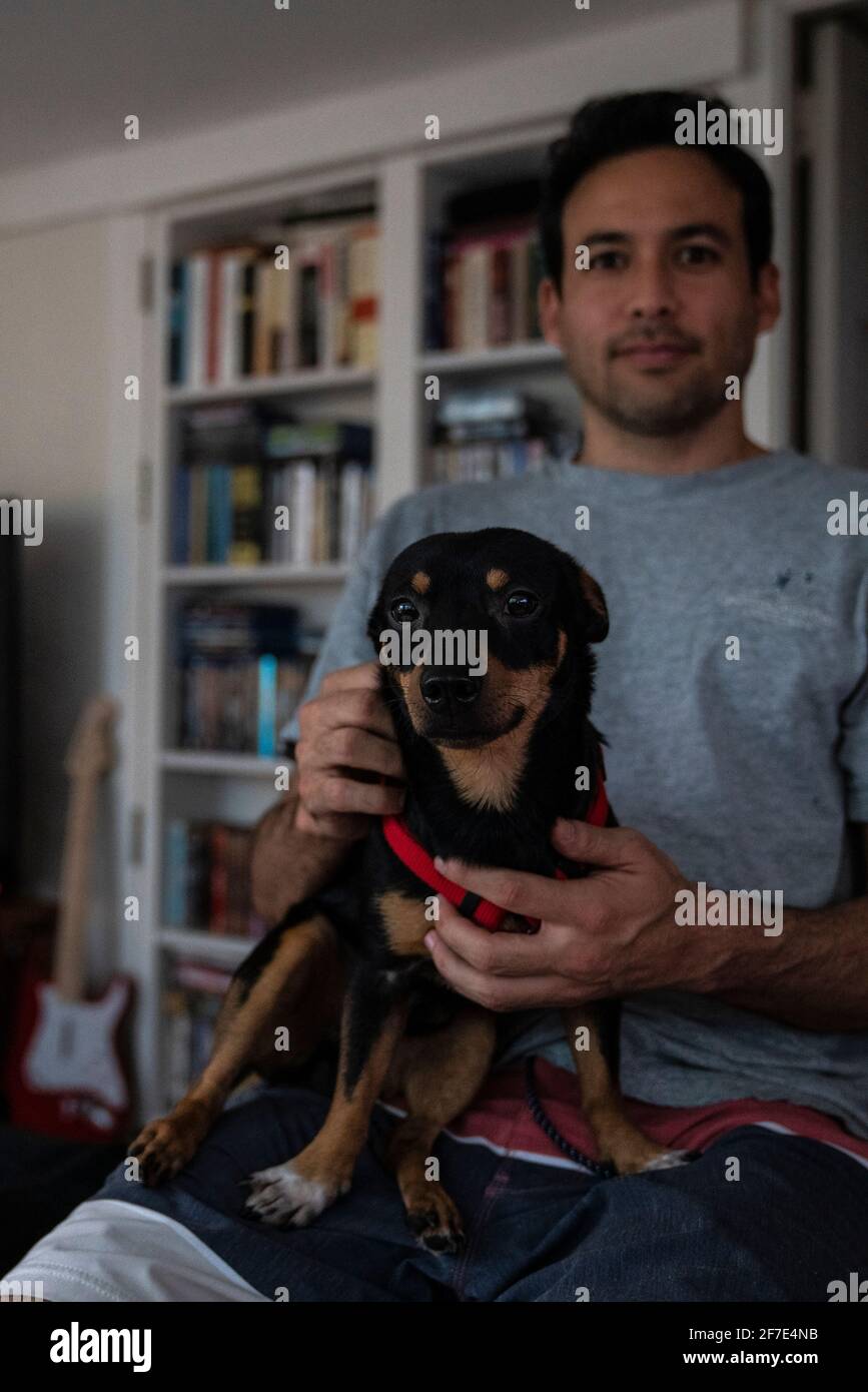 Cane felice in imbracatura rossa seduto sul suo grembo proprietari a casa Foto Stock