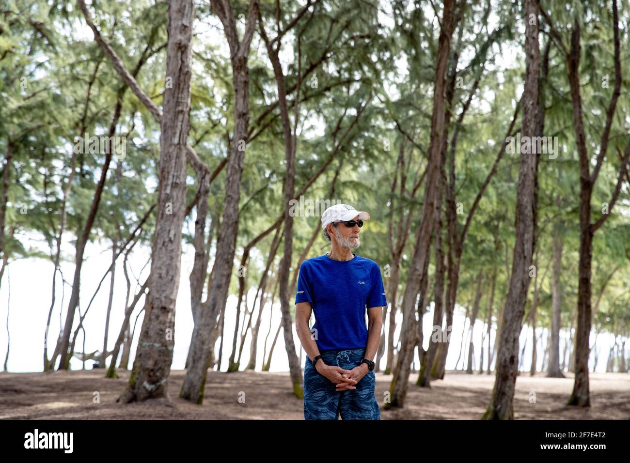 Uomo anziano che visita le Hawaii in piedi pacificamente in un mare di alberi Foto Stock