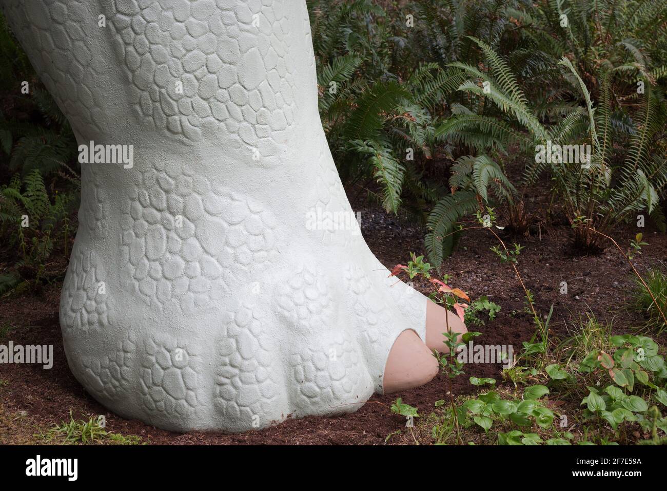 Piede gigante di una statua di brontosauro ai Giardini Preistorici di Port Orford, Oregon. Foto Stock