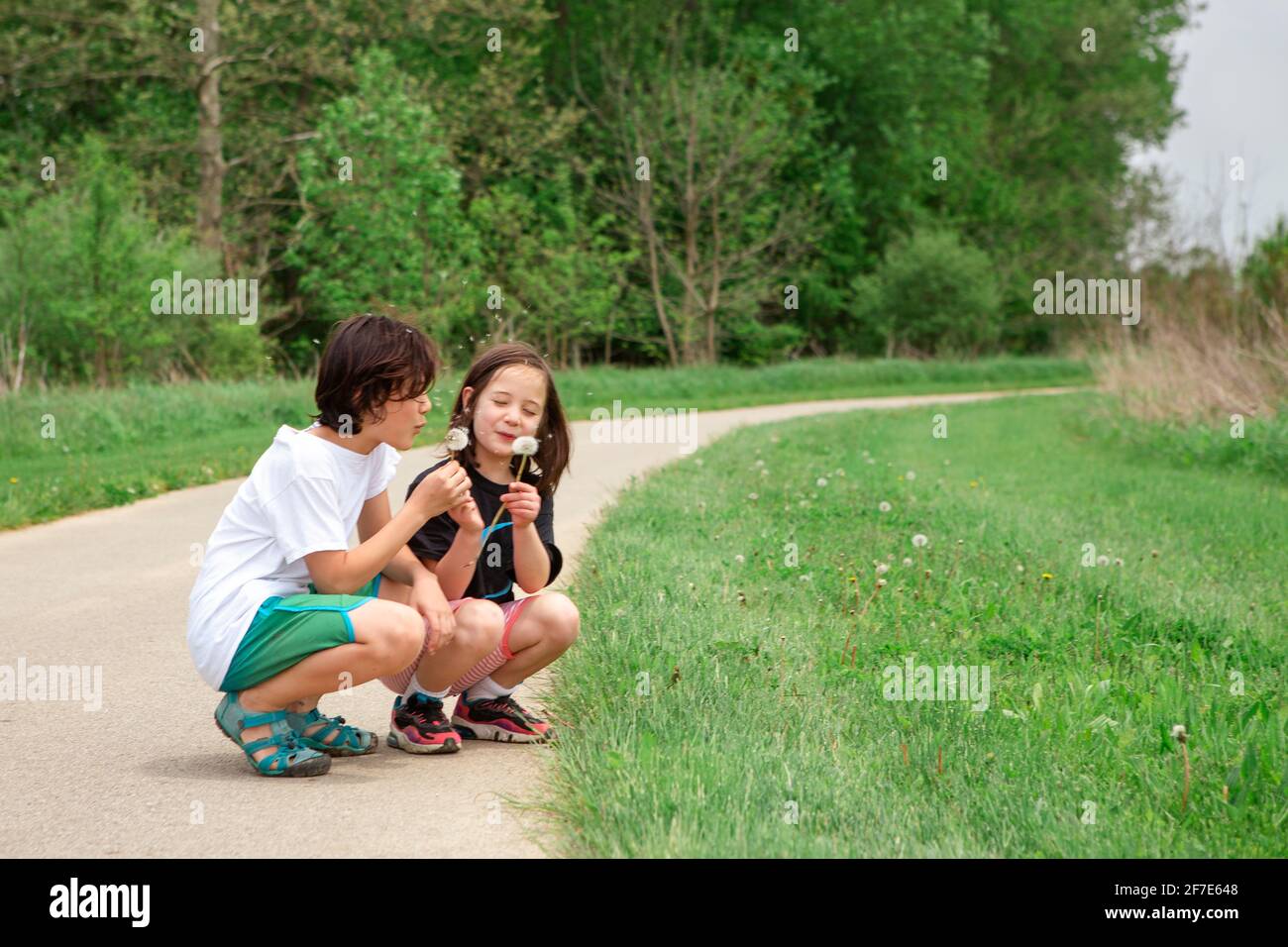 due bambini sorridenti si inginocchiano insieme per soffiare semi di dente di leone Foto Stock