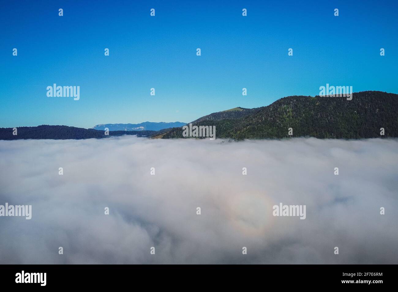 Primo mattino drone panorama del campo Planinsko Polje in Slovenia durante la fitta nebbia sulla pianura, con solo colline più alte come Strmca sono visti stic Foto Stock