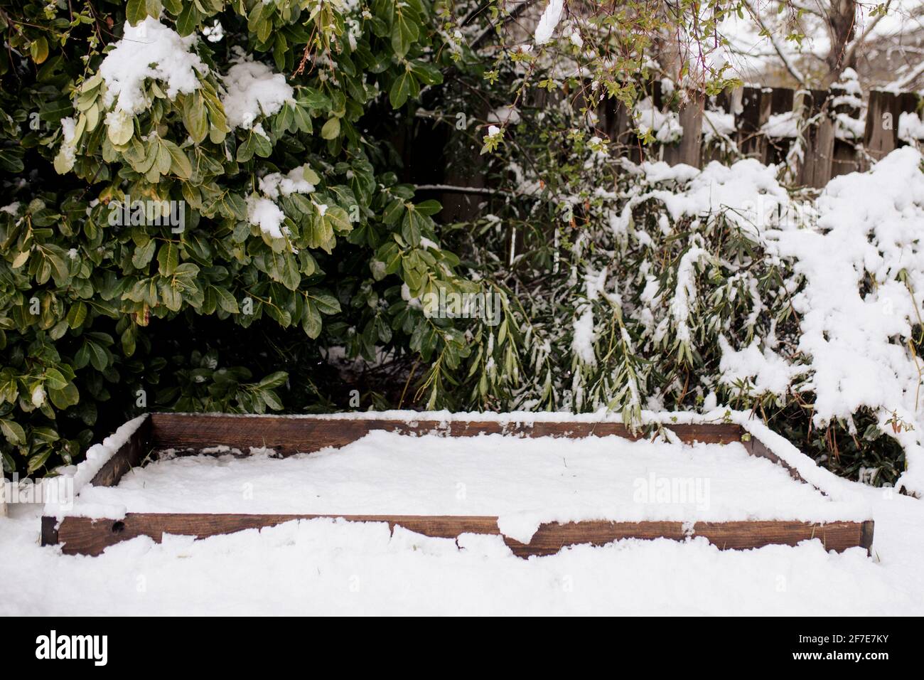 Neve su un letto di giardino rialzato in un cortile - Piantando e cura di suolo Foto Stock