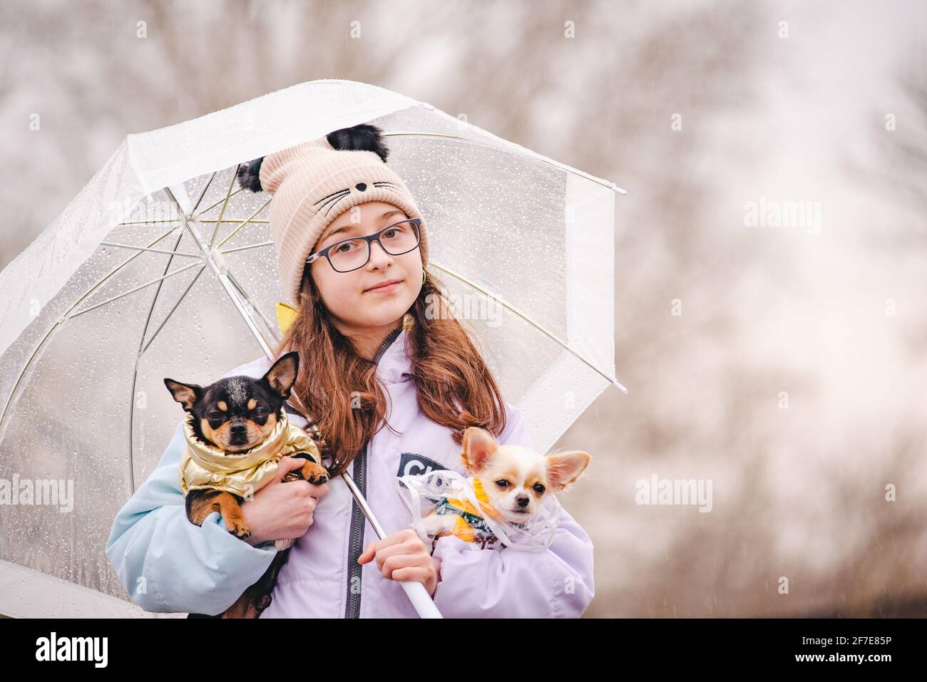 Bella ragazza con due cani chihuahua sulla natura. Una ragazza adolescente e due cani vestiti di piccole razze in tempo piovoso sotto un ombrello. Cucciolo e cane adulto Foto Stock