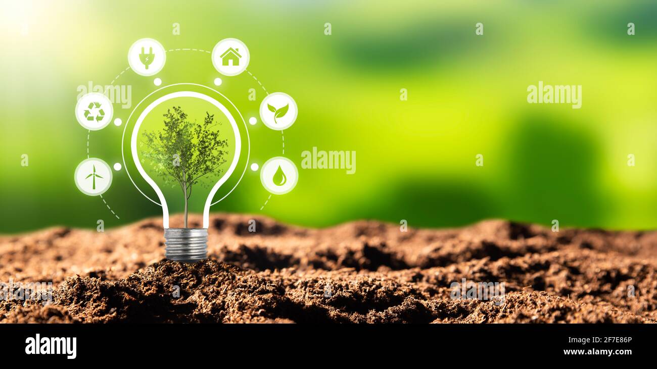 Protezione dell'ambiente, fonti energetiche rinnovabili e sostenibili. Pianta che cresce nel concetto di bulbo Foto Stock