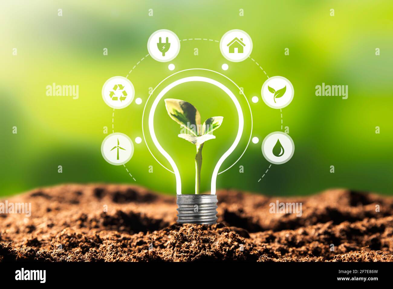 Protezione dell'ambiente, fonti energetiche rinnovabili e sostenibili. Pianta che cresce nel concetto di bulbo Foto Stock