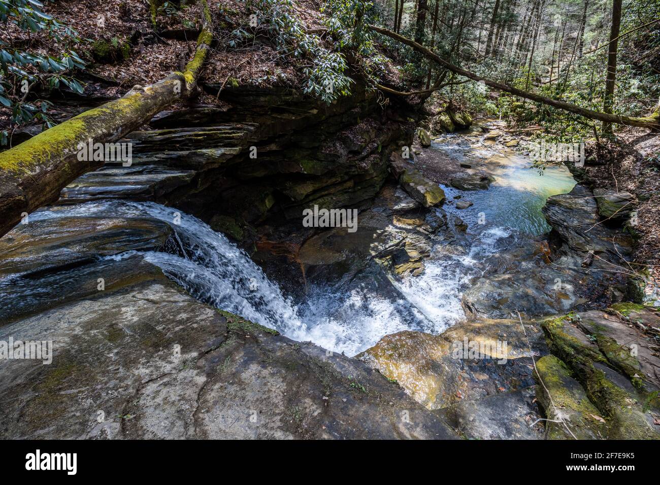 Cascate di Jenny Wiley nel Kentucky orientale. Foto Stock