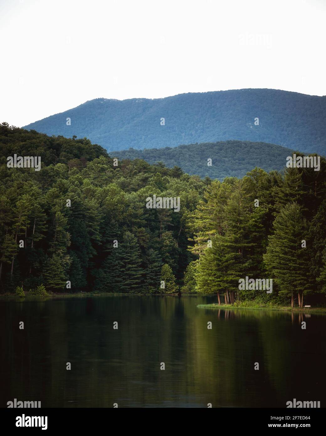 La foresta intorno al Parco Nazionale di Shenandoah che si riflette nel Lago Arrowhead a Luray, Virginia. Foto Stock