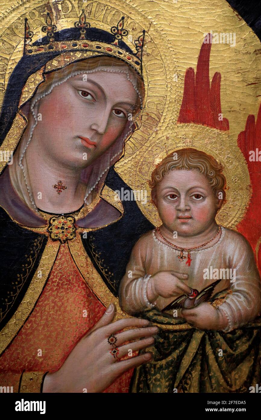 La Vergine con il Bambino con gli Angeli, 1418 di Taddeo di Bartolo mostra nel Museo di Fogg.Università di Harvard.Cambridge.Massachusetts.USA Foto Stock