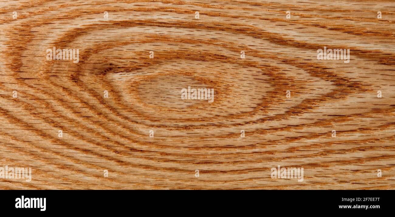 Tavola di legno di quercia rossa con nodo naturale in formato primo piano Foto Stock