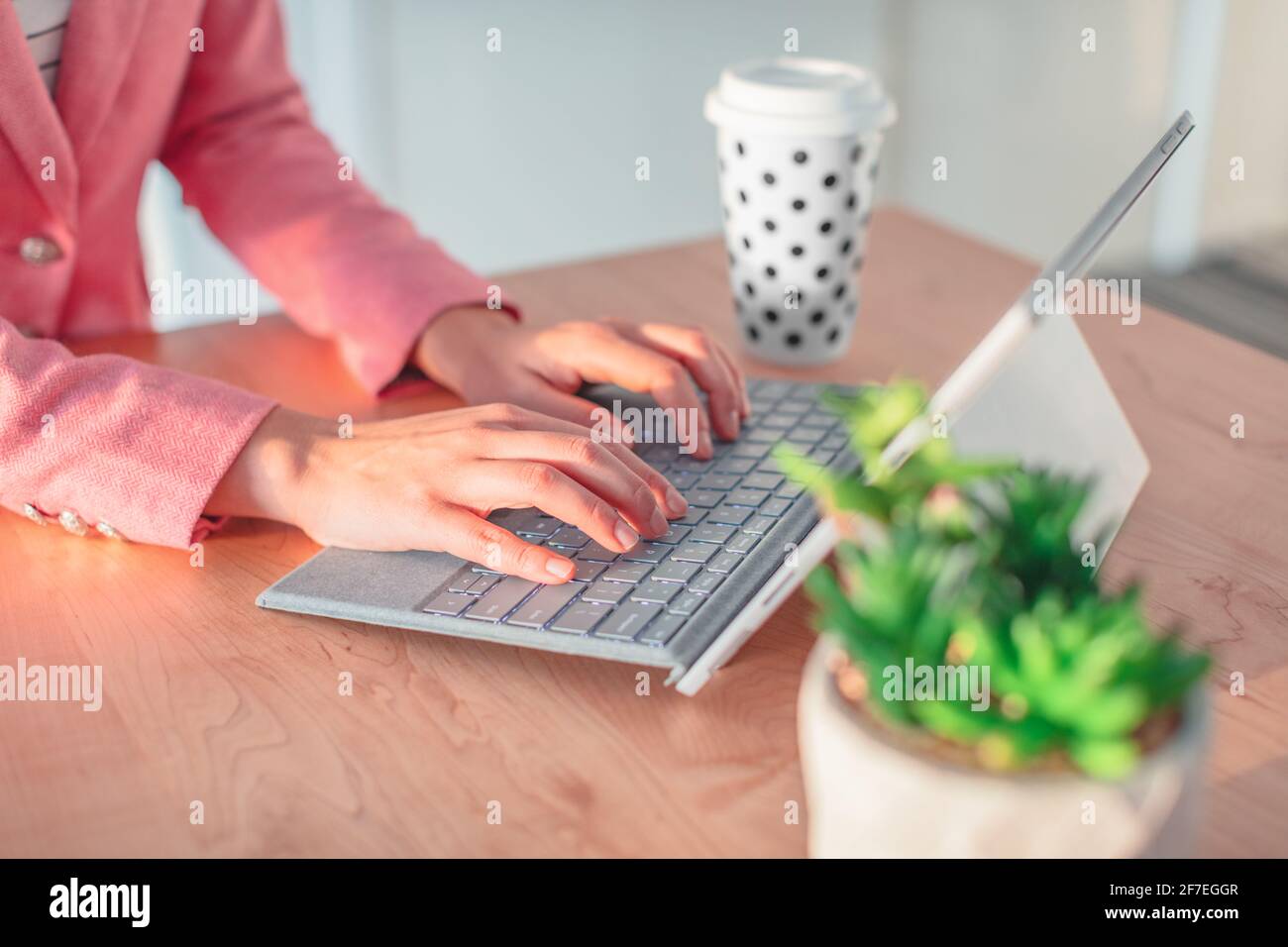 Donna che lavora a scrivere sulla tastiera del computer portatile a casa o sulla scrivania dell'ufficio. Closeup delle mani con computer, tazza da caffè, pianta succulente da tavolo Foto Stock