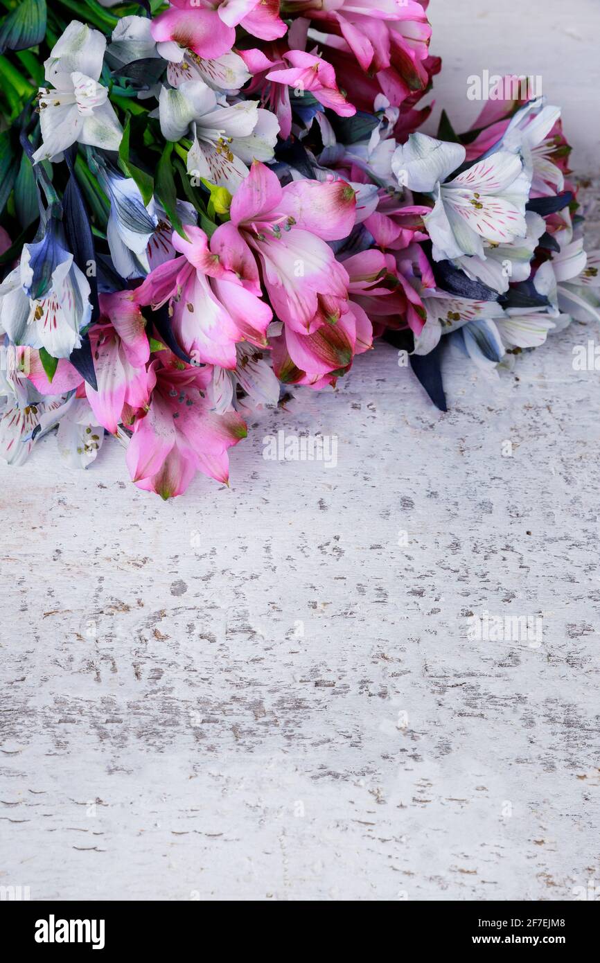 Fiori di sfondo del giorno delle madri su superficie bianca. Foto Stock