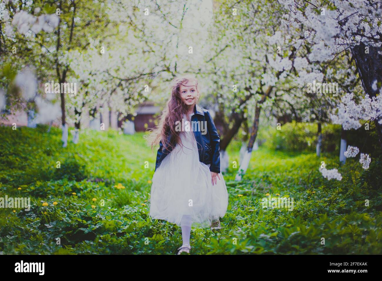 Bambina in giacca nera e vestito bianco in esecuzione il giardino di  ciliegio primaverile Foto stock - Alamy