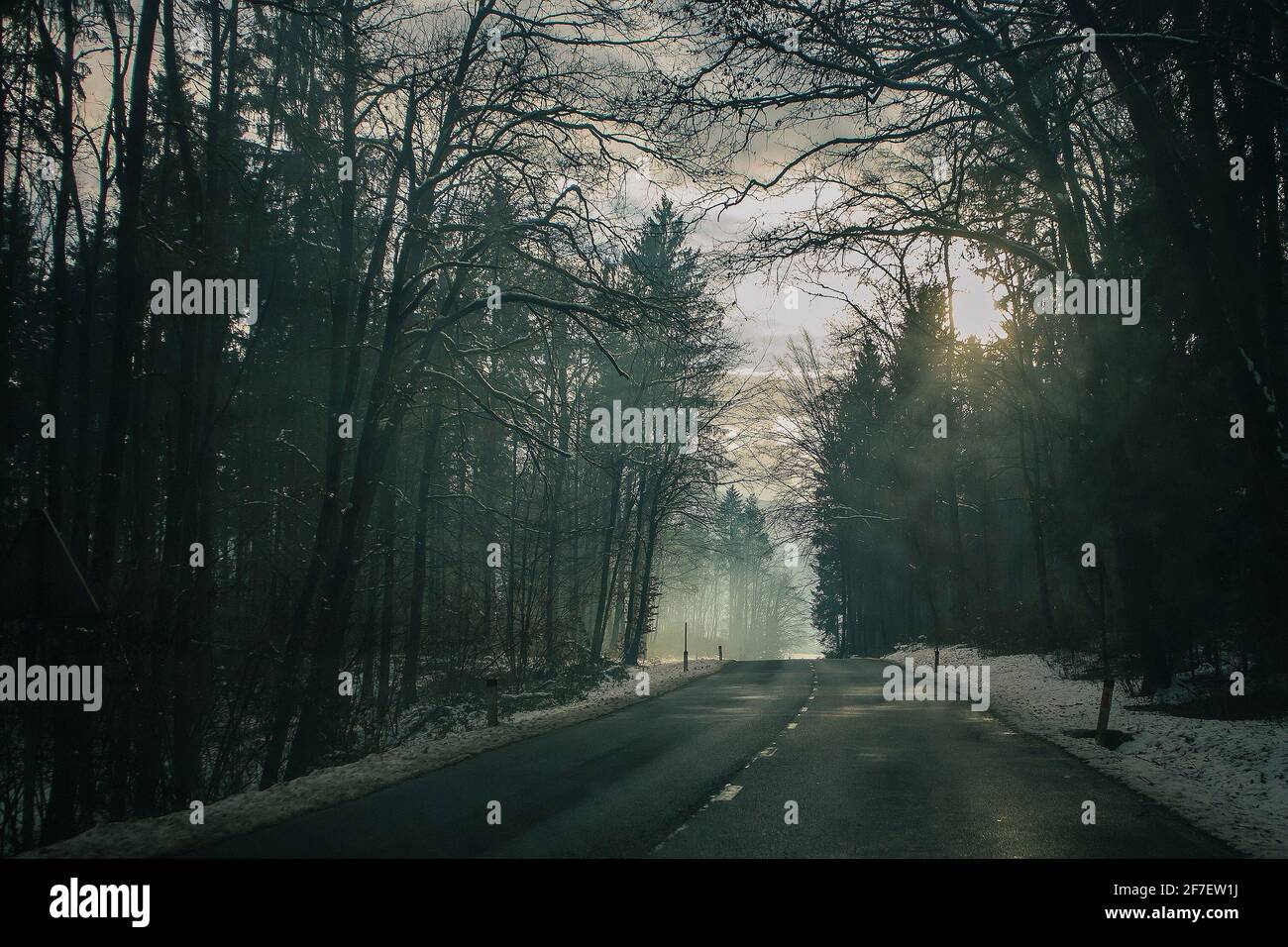 Strada asfaltata invernale che si snoda attraverso la foresta. Faro pericoloso e punto cieco sulla strada nella foresta. Foto Stock