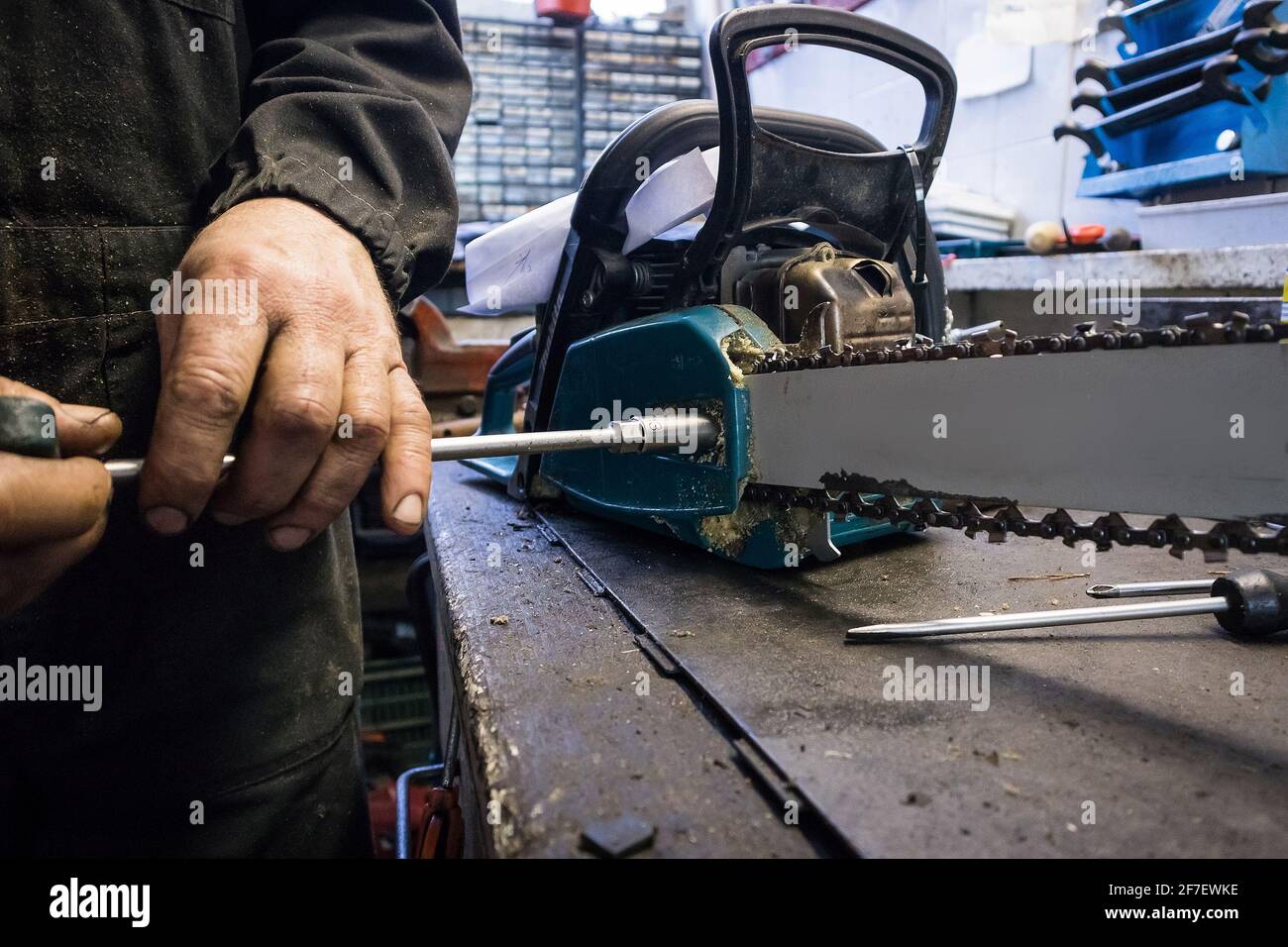 L'uomo sta svitando la lama di una motosega su un banco di lavoro in un  negozio di meccanica. Manutenzione di una motosega, rimuovendo la lama con  una chiave per utensili misura 13