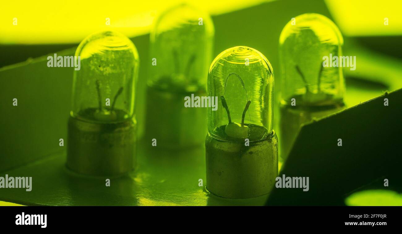 Dettaglio della lampadina della luce di posizione di un'auto di tipo più vecchio. Moltissime lampadine di posizione in un imballaggio di cartone sfuso. Foto Stock