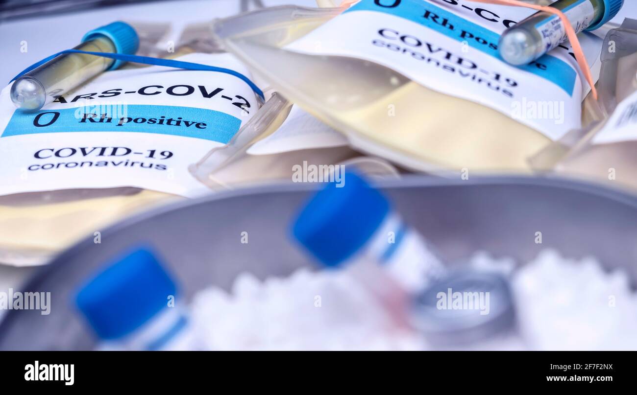 Sacca per plasma con anticorpi da persone curate di SARS-COV-2 Covid-19 preparata in un'immagine concettuale ospedaliera Foto Stock