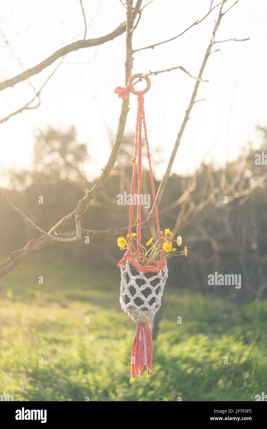 Pentola di macrame fatta a mano con margherita Foto Stock