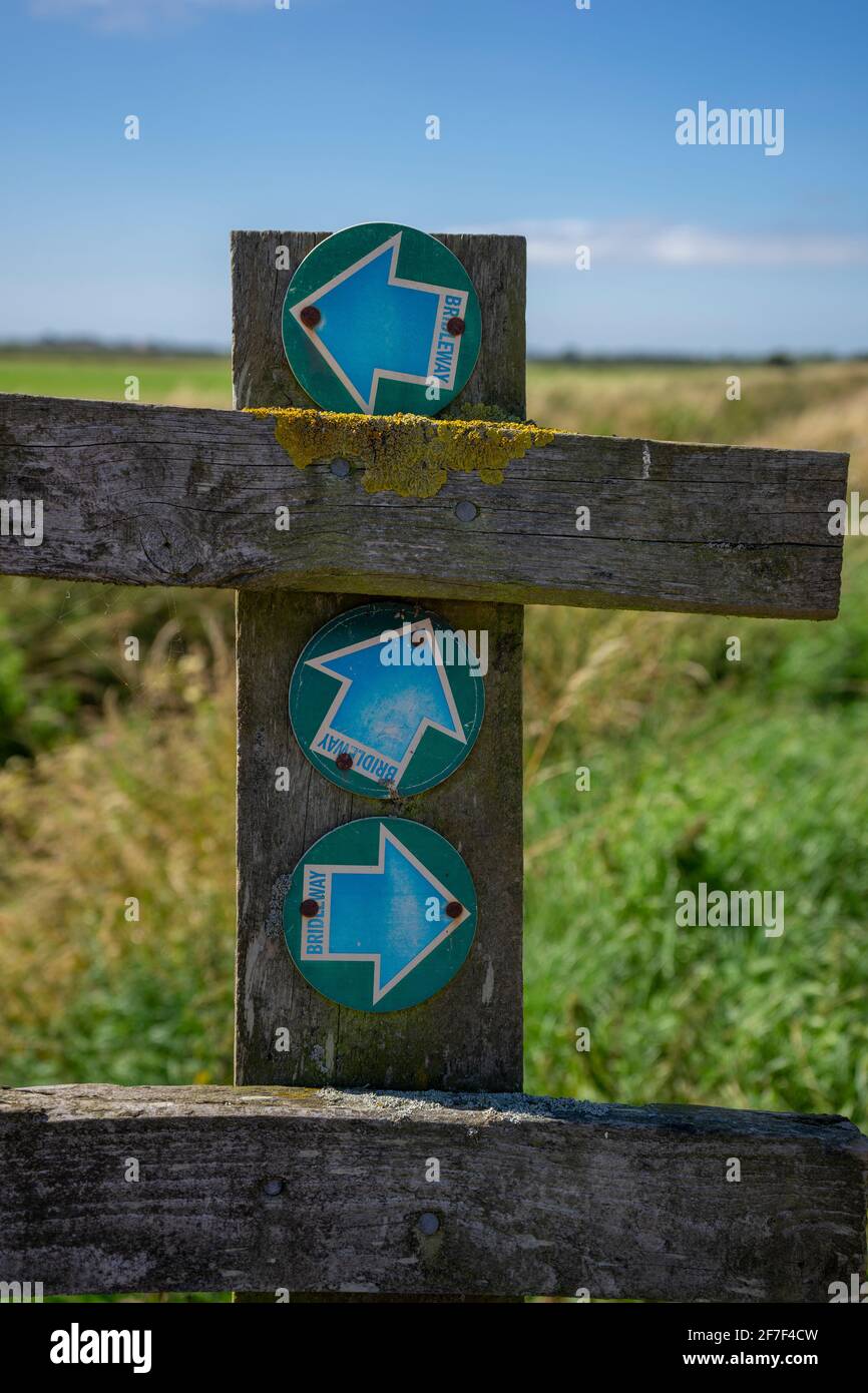 Tre frecce su un rustico segno punto vagamente in diverso indicazioni stradali Foto Stock