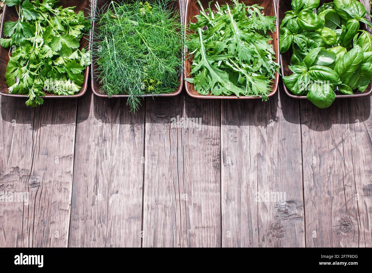 Basilico fresco, coriandolo, rucola e aneto su rustico tavolo di legno con spazio copia. Vista dall'alto Foto Stock