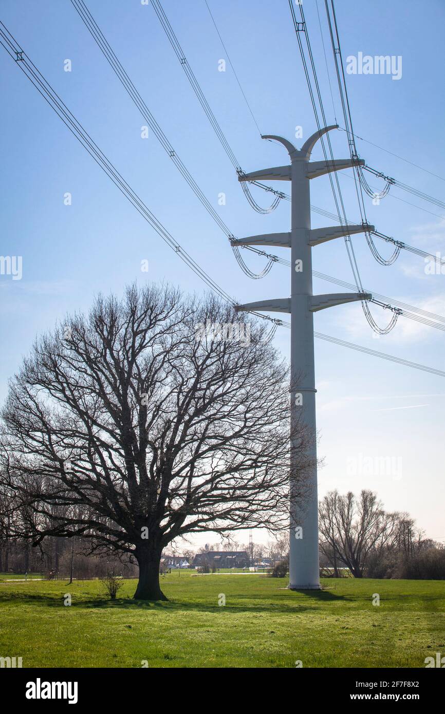 Vicino a Isselburg, a Muensterland, le linee elettriche a 380 kV scorrono su piloni a parete solida, è un progetto pilota dell'operatore del sistema di trasmissione Amprion, Nort Foto Stock