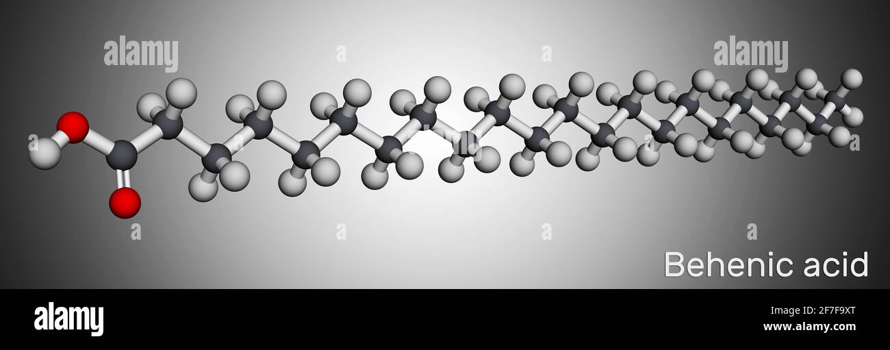Acido behenico, molecola. Si tratta di acido docosanoico, a catena lineare, acido grasso saturo a catena lunga. Modello molecolare. Rendering 3D. Illustrazione 3D Foto Stock